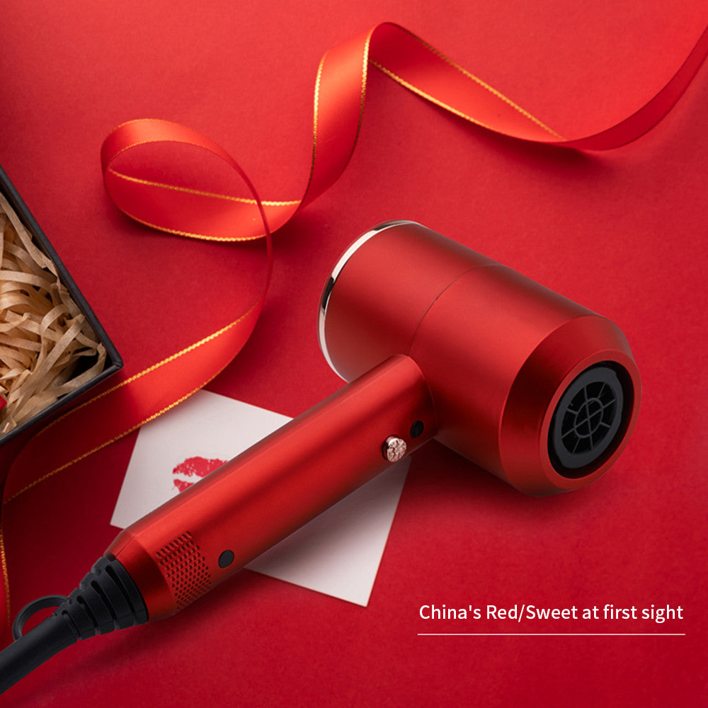 Professional Ionic Hairdryer with 2 Speed 3 Heat Setting, Cool Shot Button, 1 Diffuser & 2 Concentrator